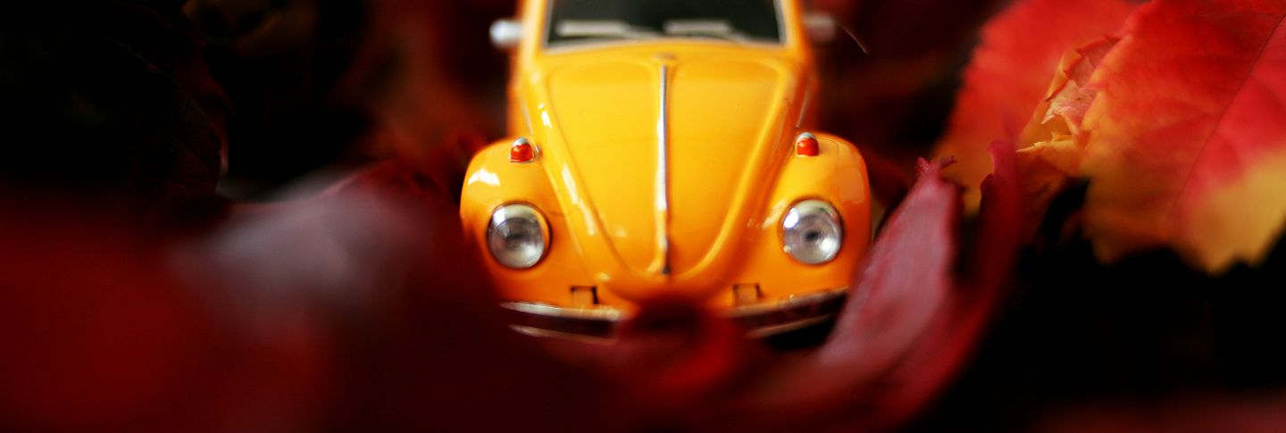 Septembar u BIHAMK-u | Mjesečna retrospektiva